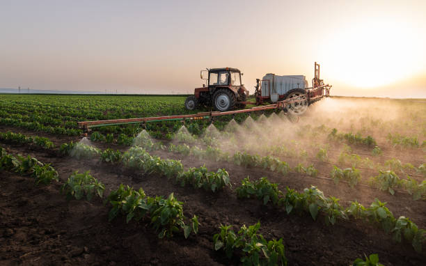 Best Mosquito Control Services  in Sturgis, KY