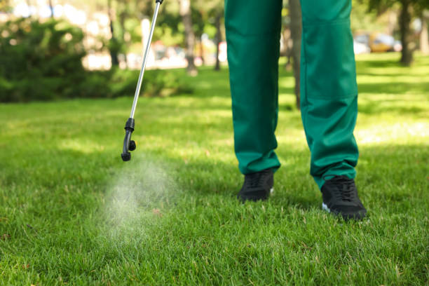 Best Best Pest Control Companies  in Sturgis, KY