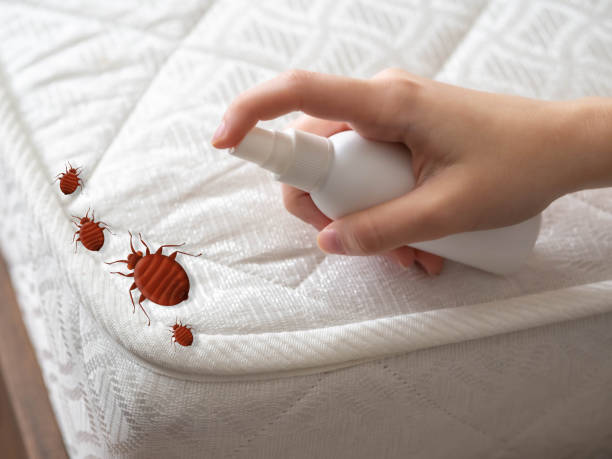 Flea Control Services in Sturgis, KY