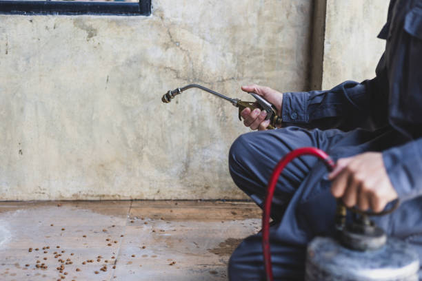 Best Wasp Removal Services  in Sturgis, KY